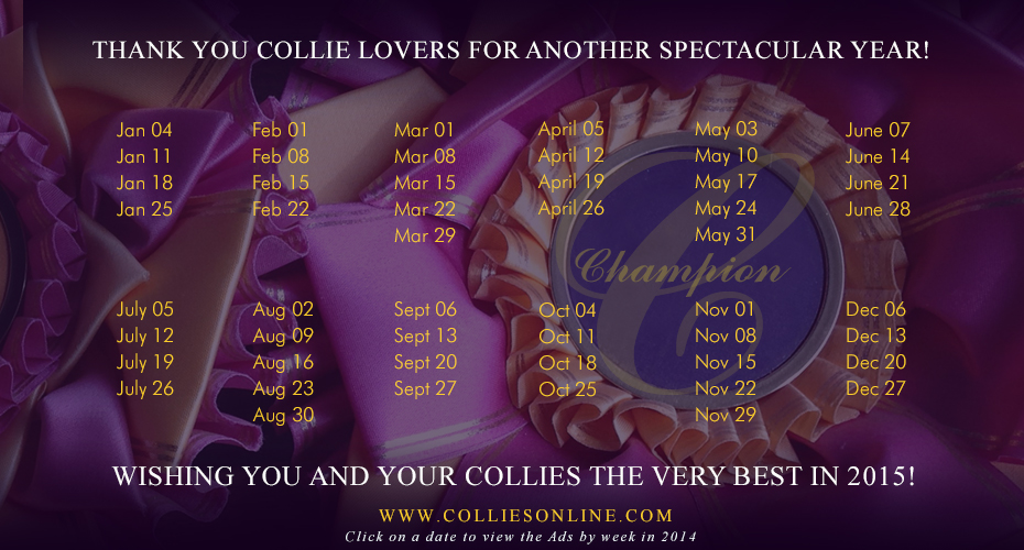 colliesonline.com -- The weekly online magazine for lovers of the breed!