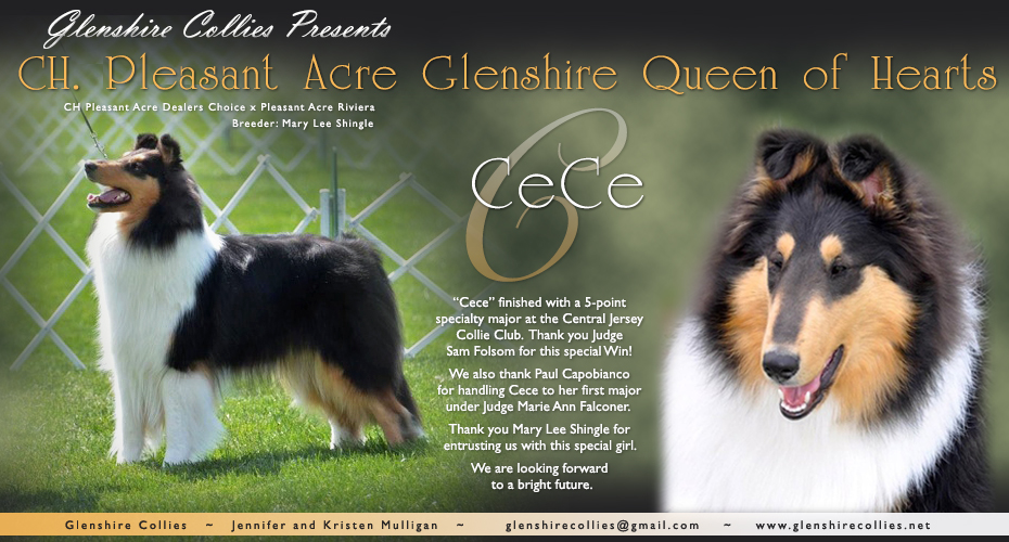 Glenshire Collies -- CH Pleasant Acre Glenshire Queen Of Hearts