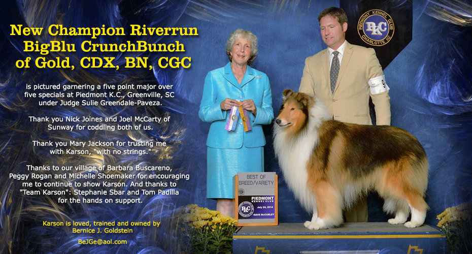 Bernice Goldstein -- CH Riverrun BigBlue CrunchBunch Of Gold CDX BN CGC
