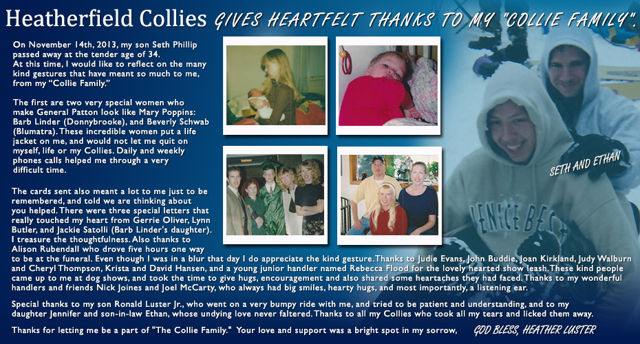 Heatherfield Collies --In Loving Memory of Seth Phillip