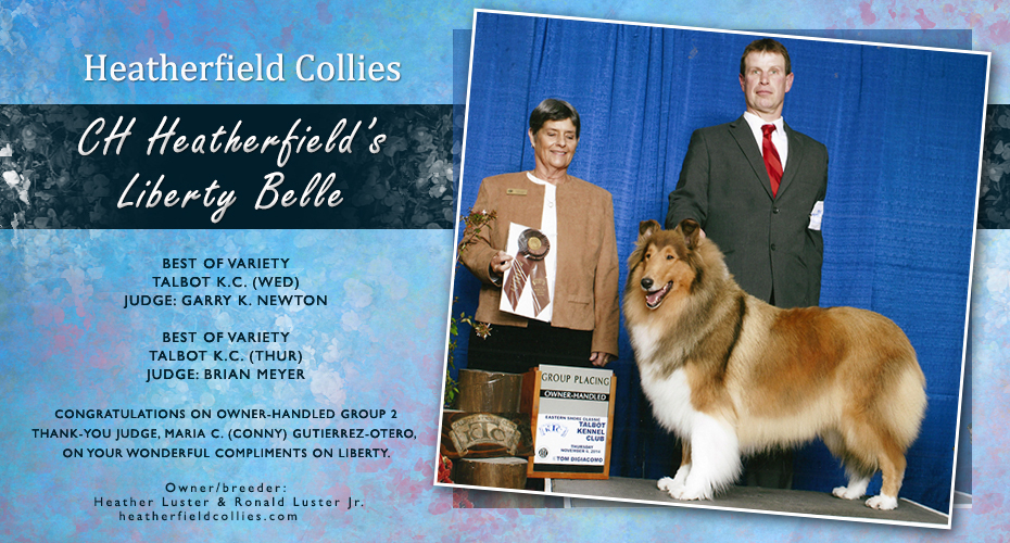 Heatherfield Collies -- CH Heatherfield's Liberty Belle