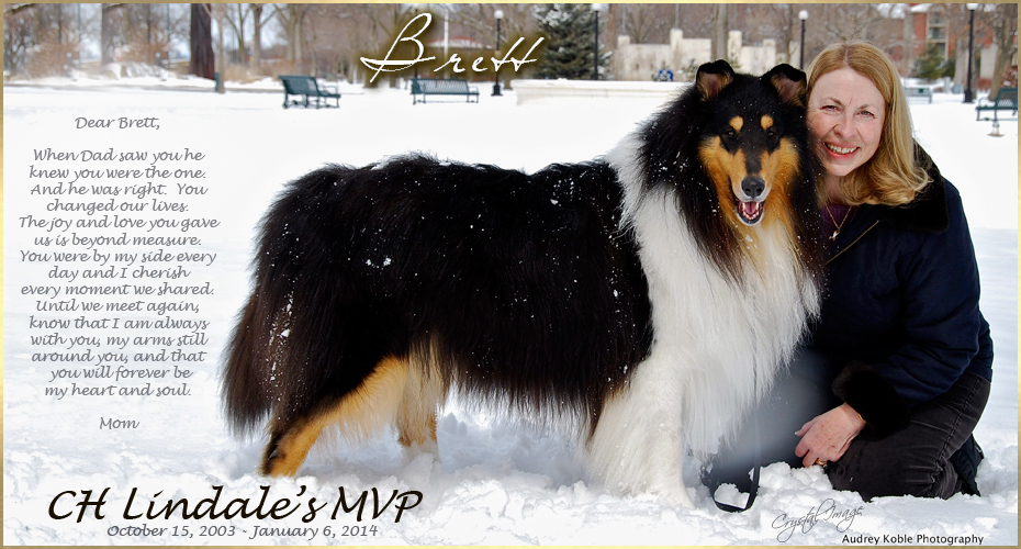 Mission Ridge Collies -- In loving memory of CH Lindale's MVP