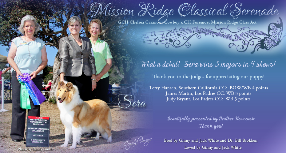Mission Ridge Collies -- Mission Ridge Classical Serenade