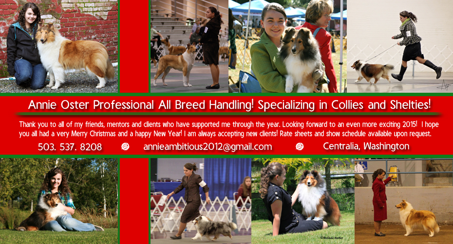 Annie Oster -- Professional All Breed Handling