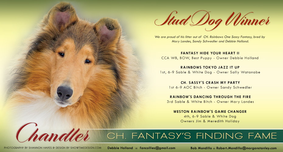 Oxford Collies / Fantasy Collies -- CH Fantasy's Finding Fame