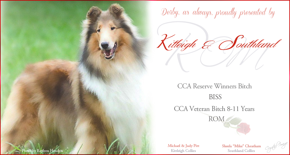Kitleigh Collies / Southland Collies -- CH Southland's Derby Day HT ROM 