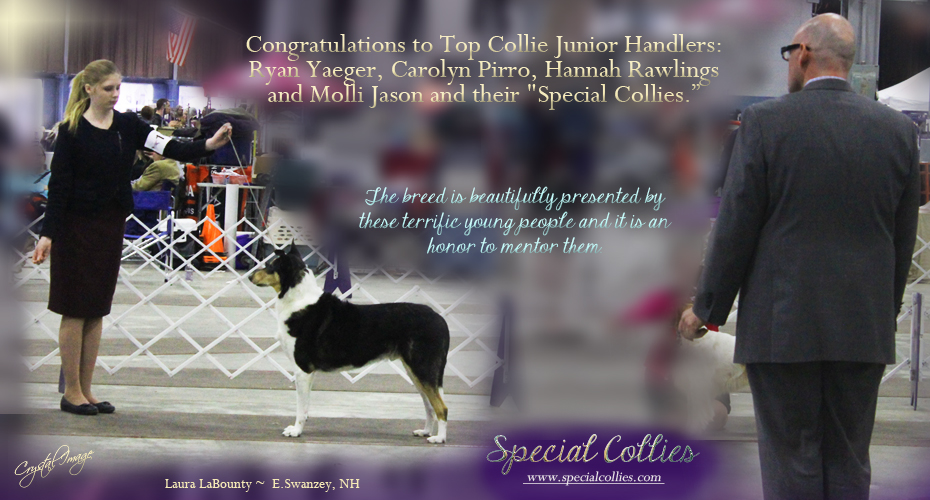 Special Collies 