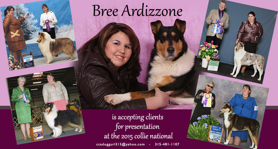 Bree Ardizzone -- 2015 Collie National Presentation