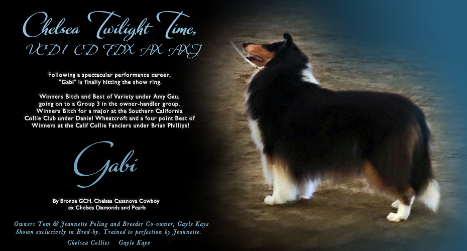 Chelsea Collies -- Chelsea Twilight Time, VCD1  CD  TDX  AX  AXJ