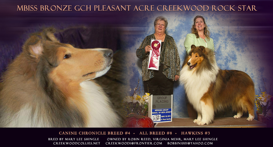 Creekwood Collies -- Bronze GCH Pleasant Acre Creekwood Rockstar