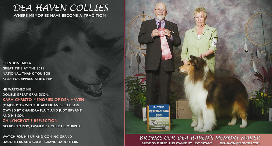 Dea Haven Collies -- Bronze GCH Dea Haven's Memory Maker