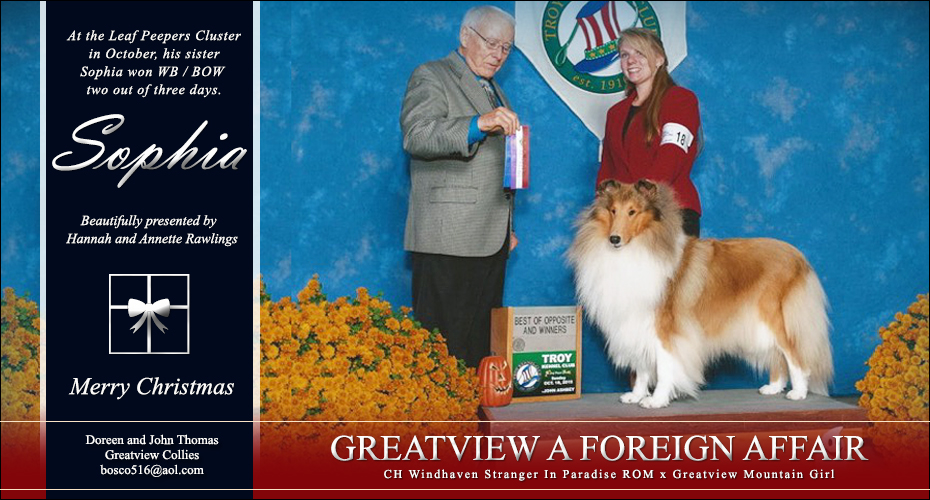 Greatview Collies -- Greatview A Foreign Affair