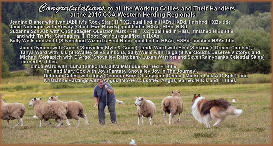 Suzanne Schwab -- 2015 CCA Western Herding Regionals -- Congratulations!