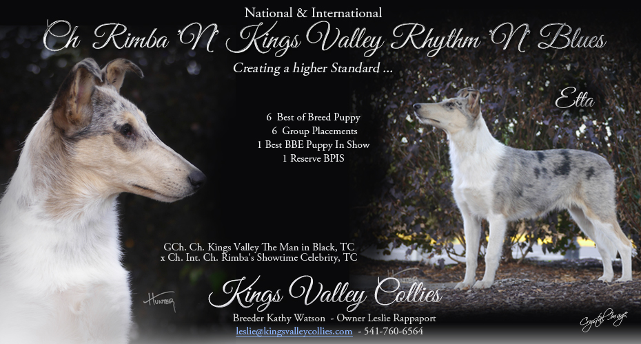 Kings Valley Collies -- CH Rimba N Kings Valley Rhythm N Blues