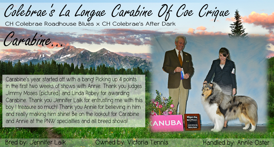 Coe Crique Collies -- Colebrae's La Longue Carabine Of Coe Crique