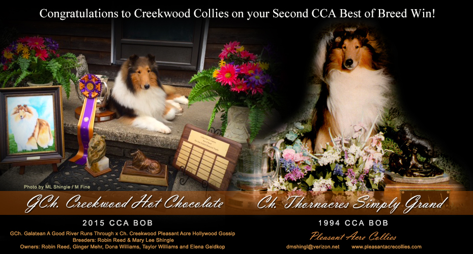 Pleasant Acre Collies -- GCH Creekwood Hot Chocolate and CH Thornacres Simply Grand