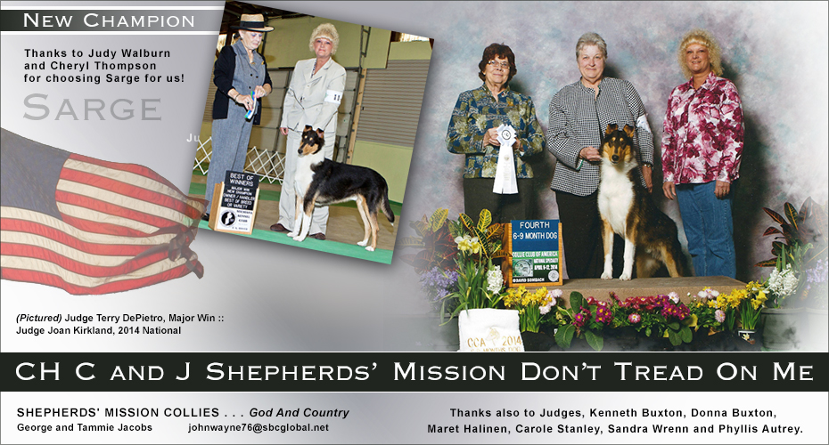 Shepherd's Mission Collies -- CH C And J Shepherds' Mission Don't Tread On Me