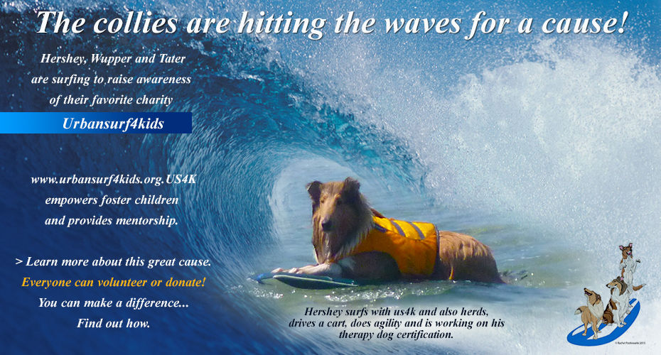 urbansurf4kids.org.US4K -- The Collies are hitting the waves for a cause!