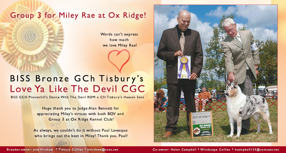 Tisbury Collies / Windscape Collies -- Bronze GCH Tisbury's Love Ya Like The Devil CGC