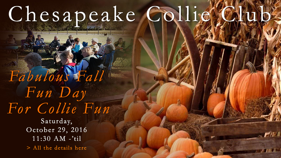 Chesapeake Collie Club -- 2016 Fabulous Fall Fun Day For Collie Fun