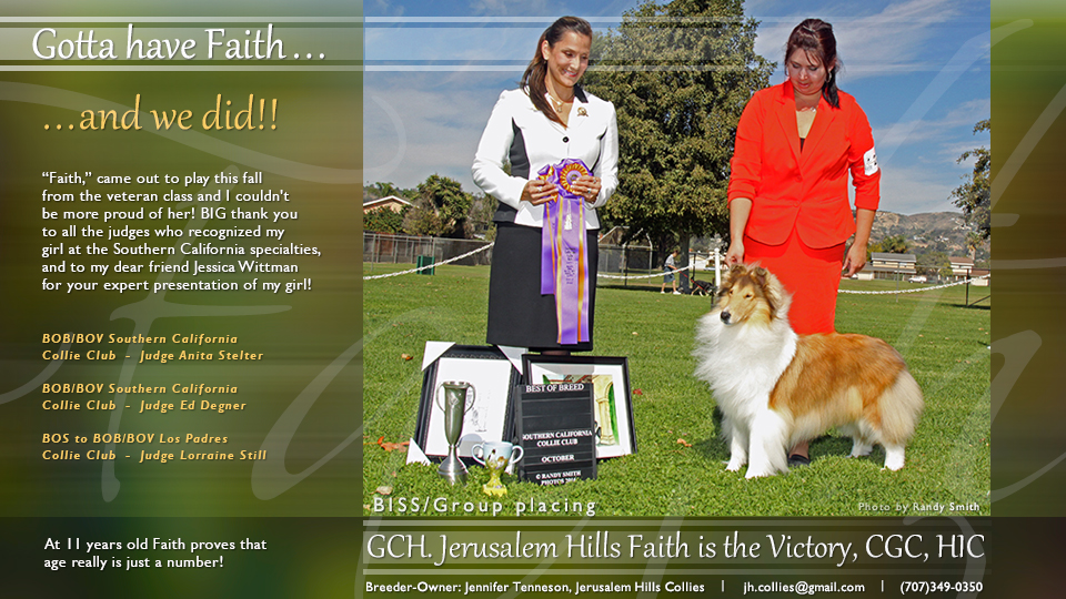 Jerusalem Hills -- GCH Jerusalem Hills Faith Is The Victory CGC HIC