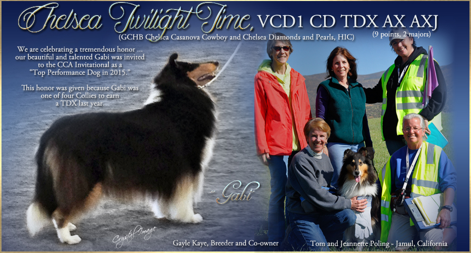 Tom and Jeannette Poling -- Chelsea Twilight Time VCD1 CD TDX AX AXJ 
