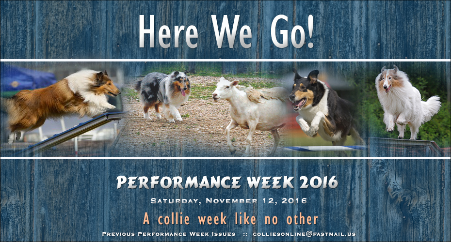 Colliesonline.com -- Performance Week 2016