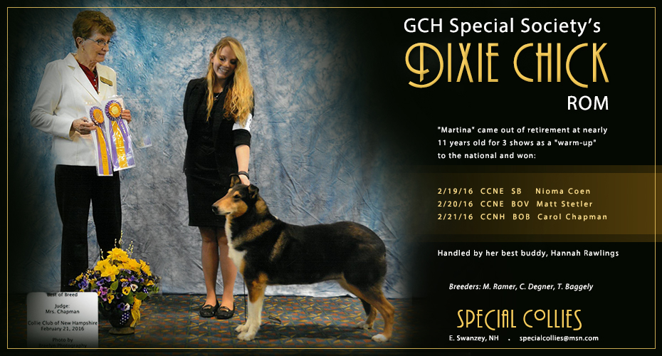 Special Collies -- GCH Special Society's Dixie Chick ROM