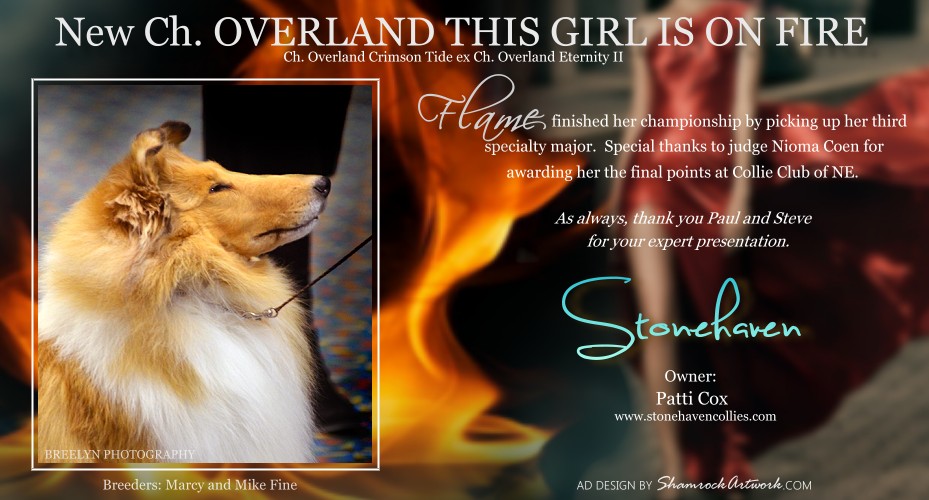 Stonehaven Collies -- GCH Overland This Girl Is On Fire