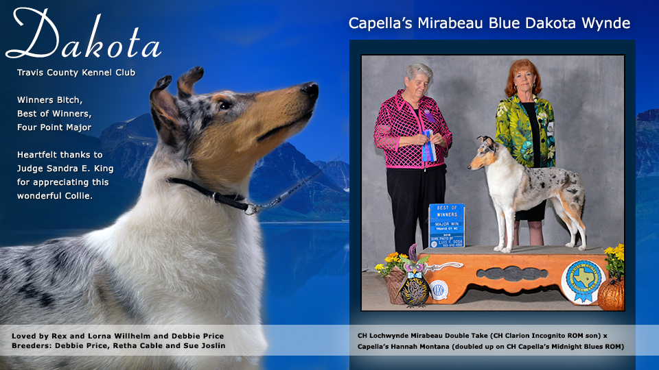 Rex and Lorna Willhelm -- Capella's Mirabeau Blue Dakota Wynde