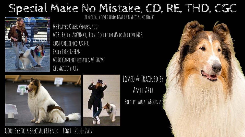 Amee Abel -- Special Make No Mistake, CD, RE, THD, CGC