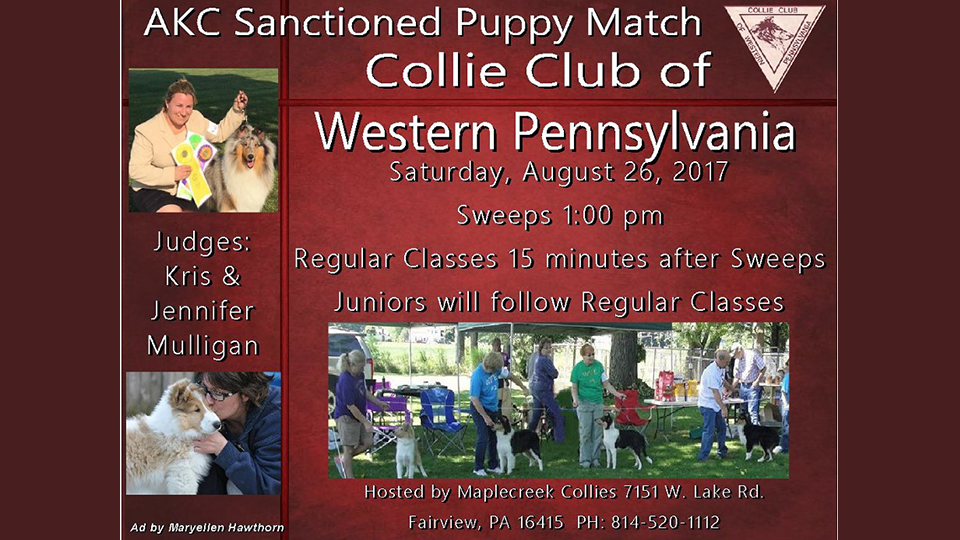 Collie Club of Western Pennsylvania -- AKC Sanctioned Puppy Match