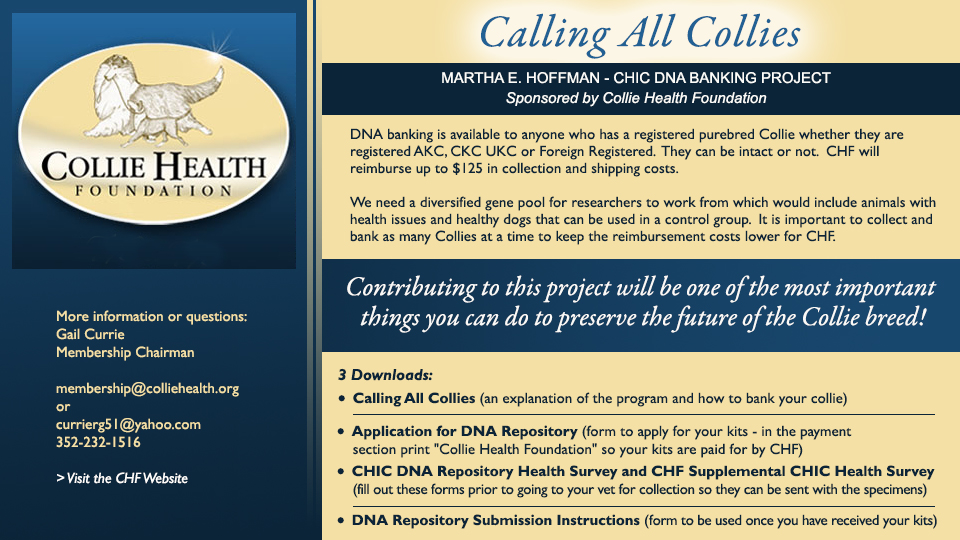 Collie Health Foundation -- Calling All Collies - CHIC DNA Banking Project Sponsored by CHF