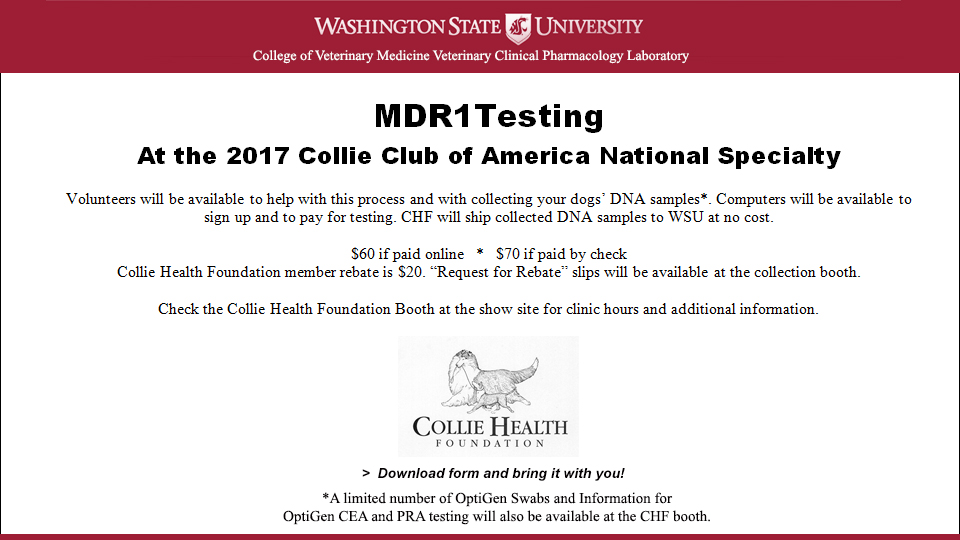 Collie Health Foundation -- MDR1 Testing at the 2017 CCA National Specialty
