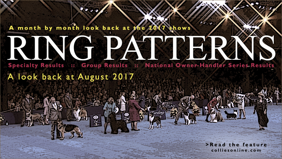 Colliesonline.com -- Ring Patterns, a month by month look back at the 2017 shows