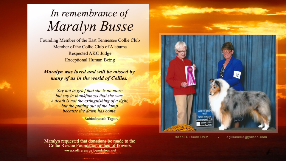 Babbi Dilbeck, DVM -- In remembrance of Maralyn Busse