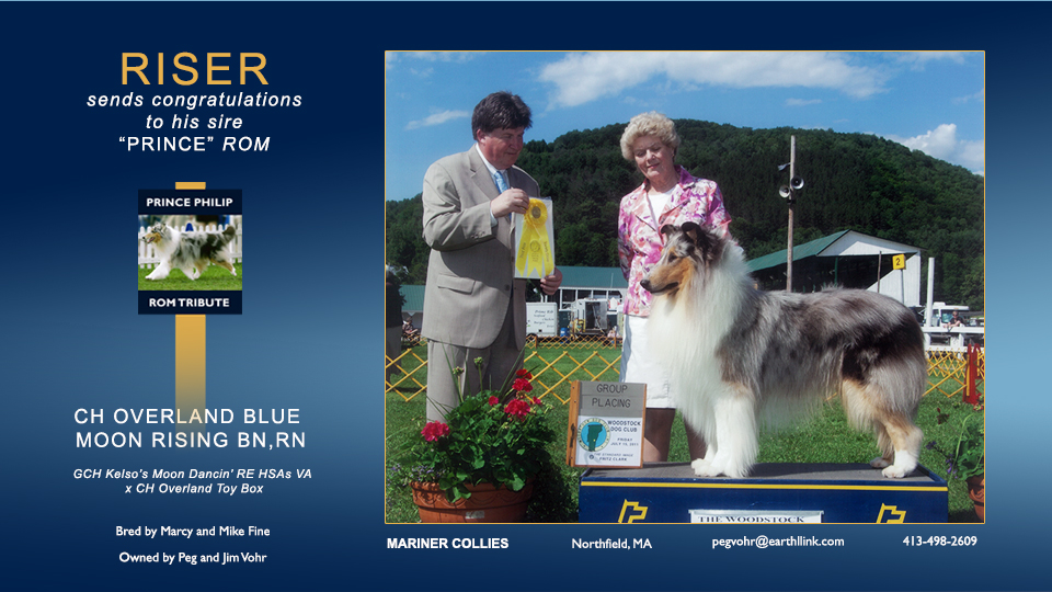 Mariner Collies -- CH Overland Blue Moon Rising