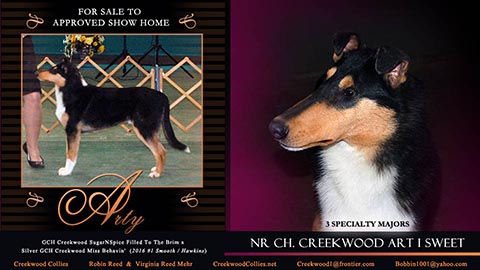 Creekwood Collies -- Creekwood Art I Sweet