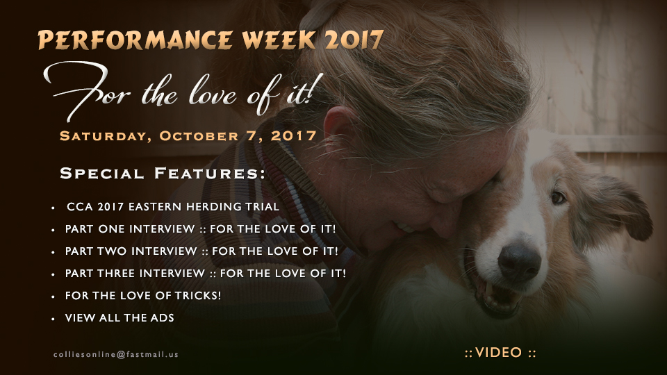 Colliesonline.com -- Performance Week 2017, For The Love Of It! 