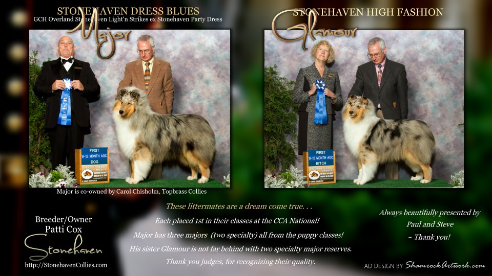 Stonehaven Collies -- Stonehaven Dress Blues and Stonehaven High Fashion