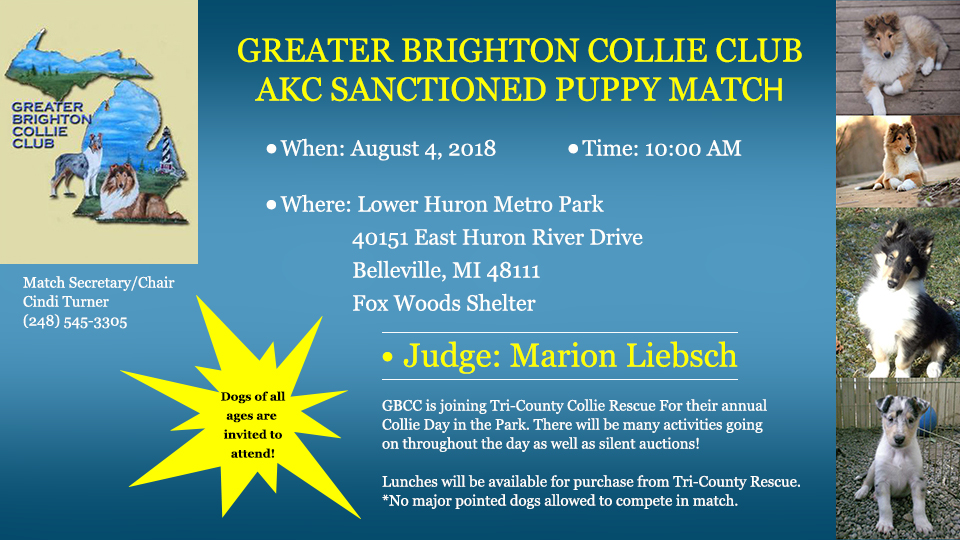 Greater Brighton Collie Club -- 2018 AKC Sanctioned Puppy Match