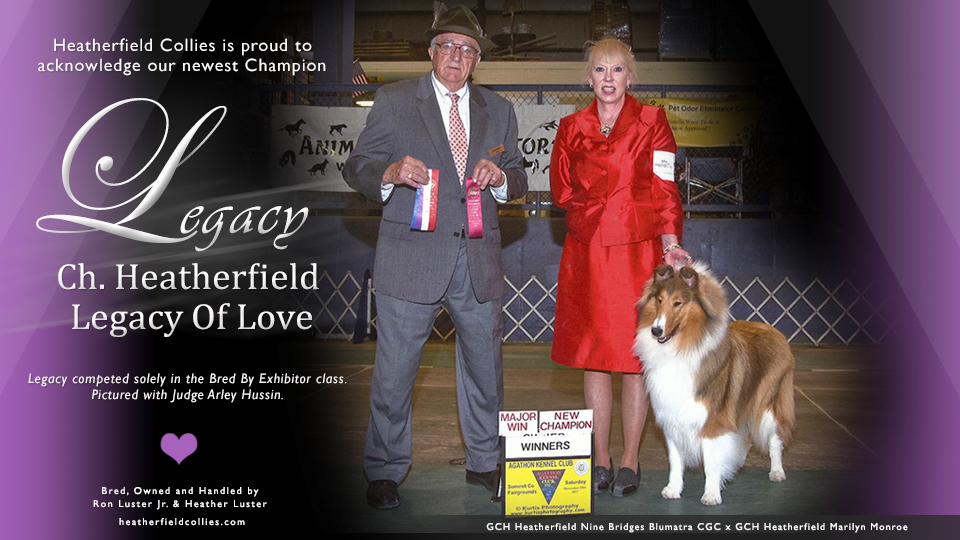 Heatherfield Collies -- CH Heatherfield Legacy Of Love