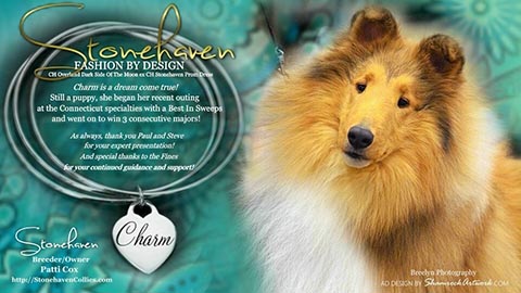 Stonehaven Collies -- CH Stonehaven Fashion By Design