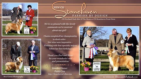 Stonehaven Collies -- CH Stonehaven Fashion By Design