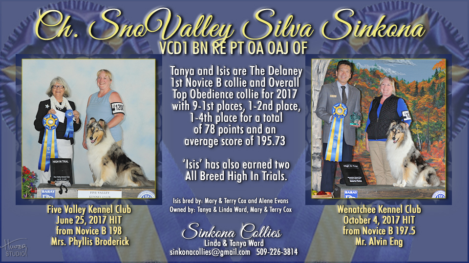 Sinkona Collies -- CH Sno Valley Silva Sinkona VCD1 BN RE PT OA OAJ OF