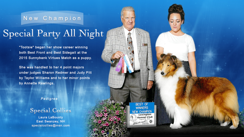 Special Collies -- CH Special Party All Night