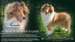Aurealis Heaven's Gate