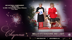 Mello-D Collies -- Mello-D's Shadow And Light