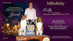 MiHoliday Collies -- GCH Miholiday Crown Jewel Of Party Paws CGC TKD HIC / CH Miholiday's Ramblin Rose CGC TKN