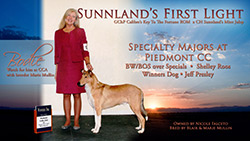 Sunnland Collies -- Sunnland's First Light